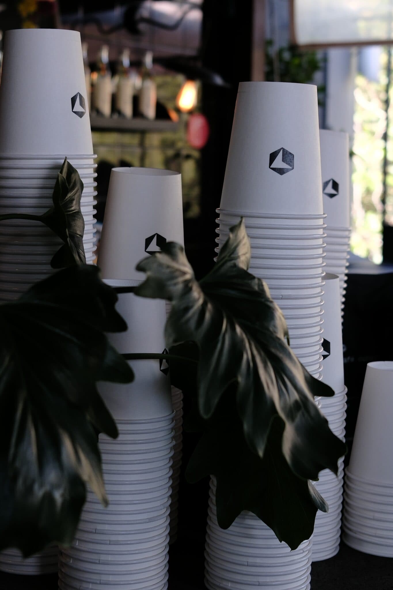 Cafe Cursor Mexico City — foto 69