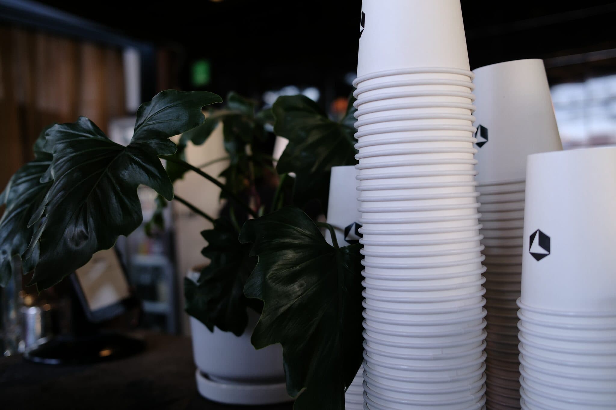 Cafe Cursor Mexico City — foto 76